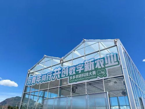 2024中國農(nóng)產(chǎn)品電商發(fā)展報告 拼多多以人與技術(shù)雙輪驅(qū)動，培育新產(chǎn)品與技術(shù)開發(fā)
