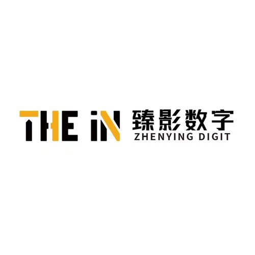 湖南臻影數(shù)字科技 匠心鑄就信息系統(tǒng)集成的智慧橋梁